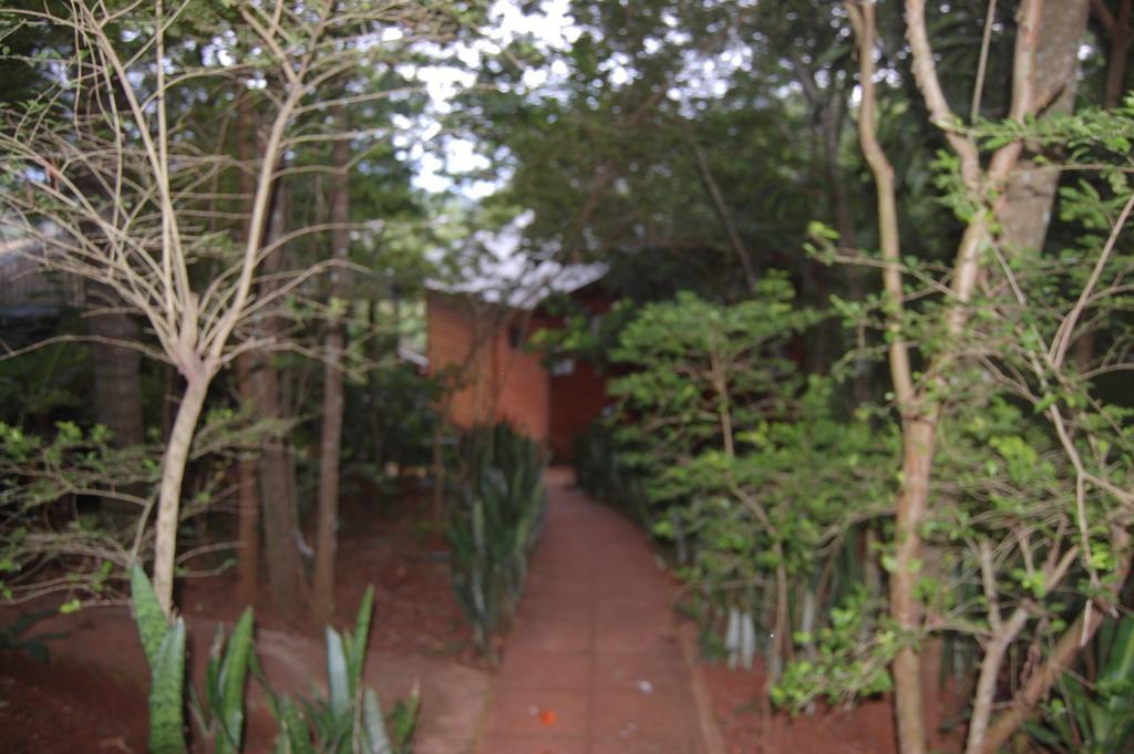 Panambi Lodge B&B Puerto Iguazu Exterior photo