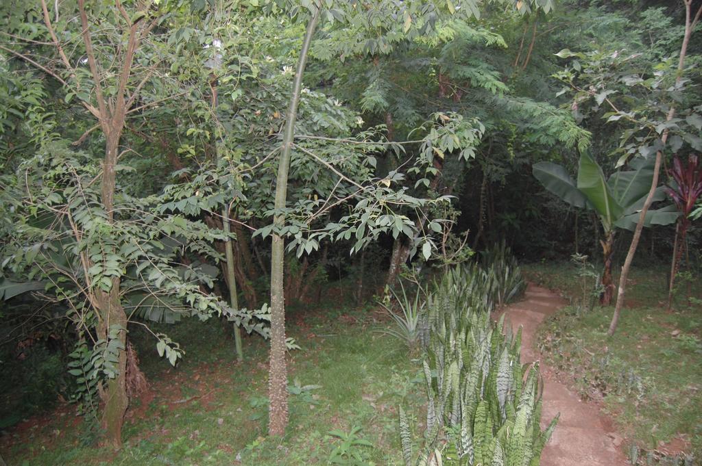 Panambi Lodge B&B Puerto Iguazu Exterior photo