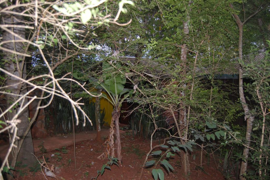 Panambi Lodge B&B Puerto Iguazu Exterior photo