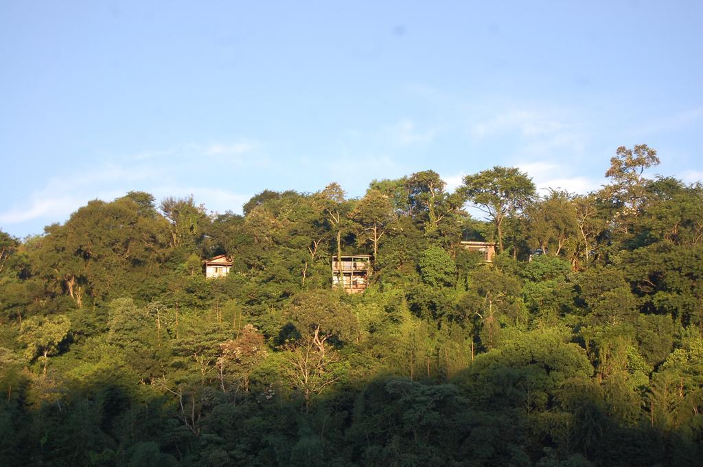 Panambi Lodge B&B Puerto Iguazu Exterior photo